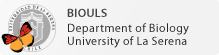 BIOULS Logo
